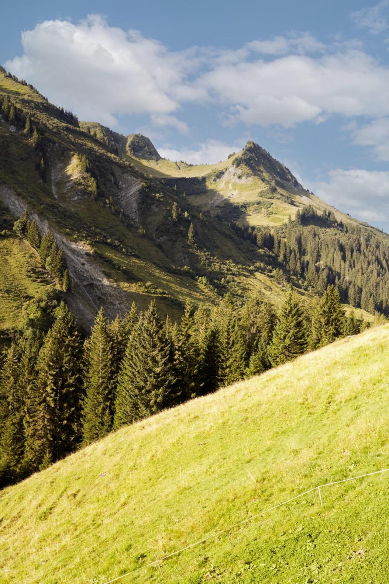 Alpenstolz Damuels Haus 4 - Stilvoll Urlauben In Den Bergen Apartment Bagian luar foto