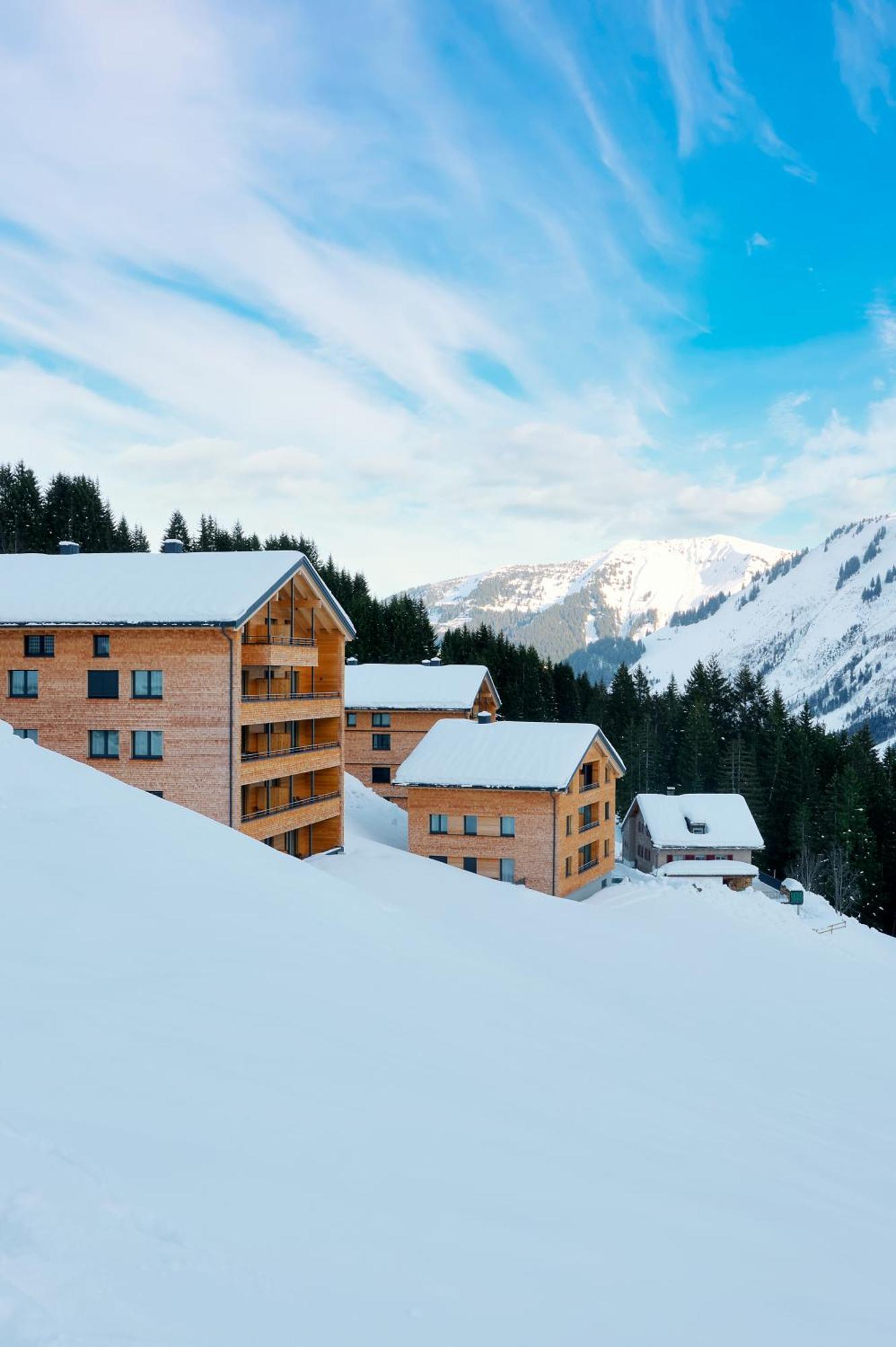 Alpenstolz Damuels Haus 4 - Stilvoll Urlauben In Den Bergen Apartment Bagian luar foto